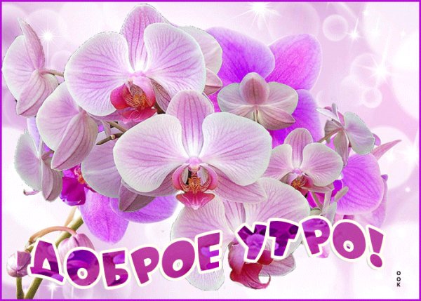 file_99113254