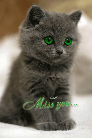 file_48987747