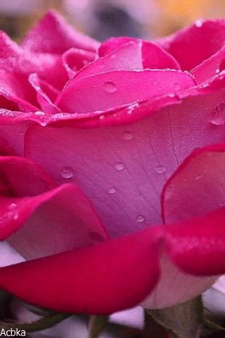 file_76358929