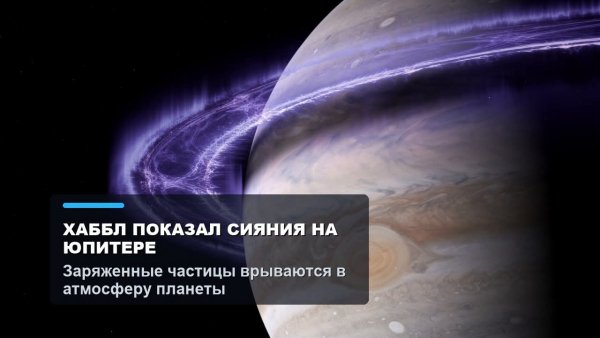 file_103173247