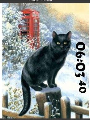 sample кот