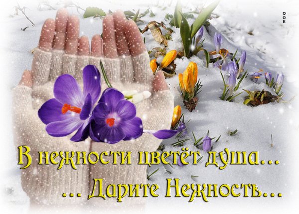 file_99153479