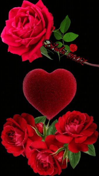file_93055395