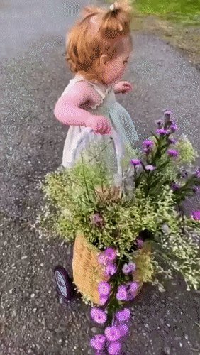 Анимированная открытка доброе утро
