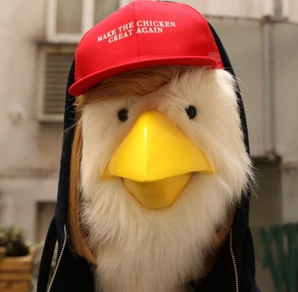 El Capon - Shut up Chicken
