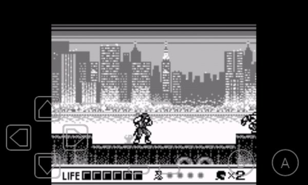 Ninja Gaiden Shadow (USA)