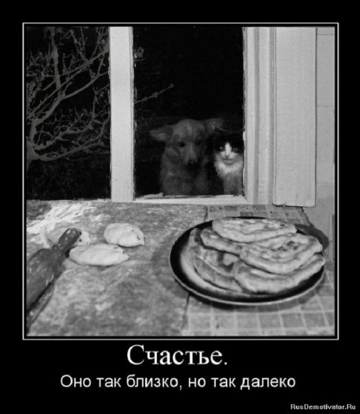 Счастье. Оно так близко, но так далеко.