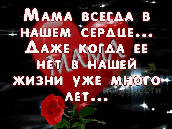 IMG 20181227 195636