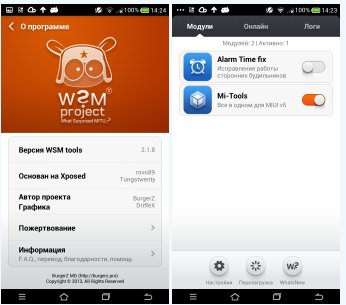 WSM Manager