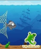 Martial Jaw