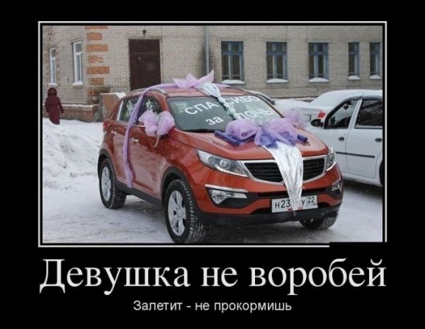 demotivb