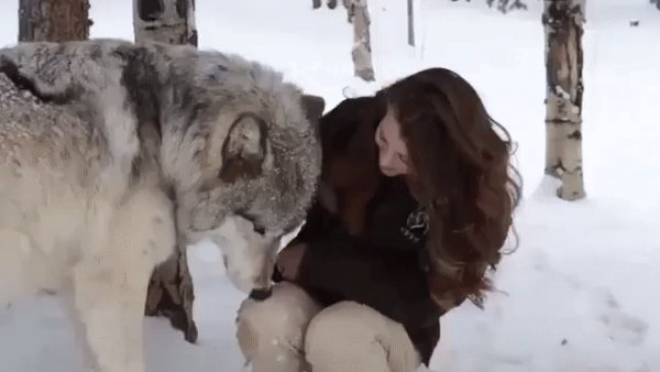 gif 1476447562