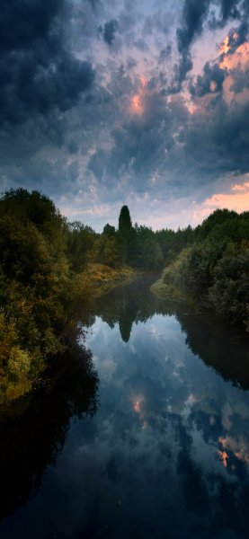 file_91959646