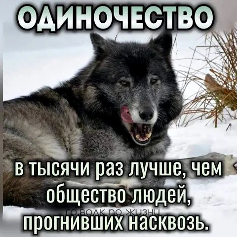 Одиночество
