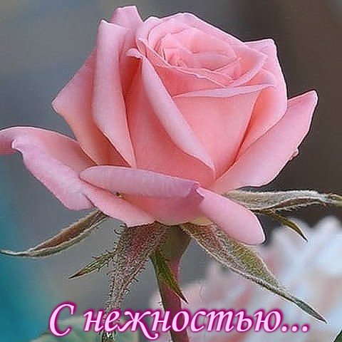 file_75177058