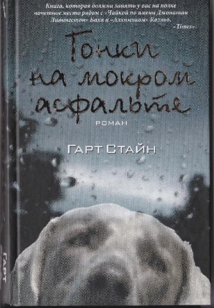 Гонки на мокром асфальте-Гарт Стайн