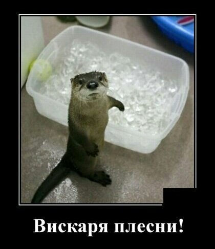 file_78379071