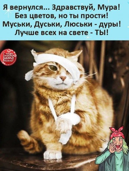FB IMG 1778184985031