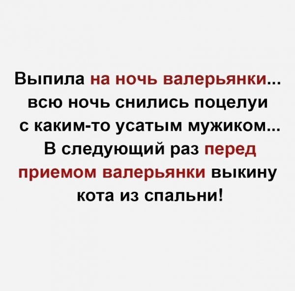 IMG 20260402 140852