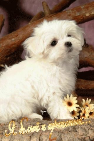 file_48520017