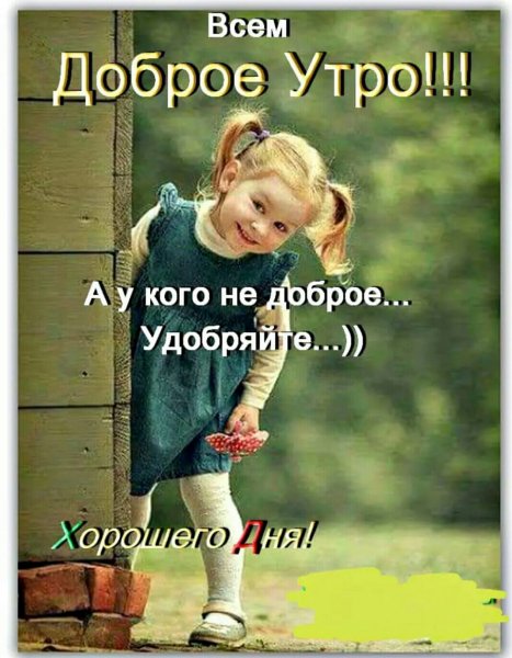 image (5)