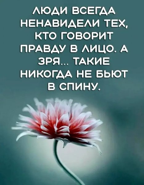 file_100177348