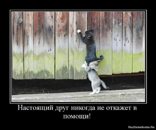 НАСТОЯЩИЙ ДРУГ...