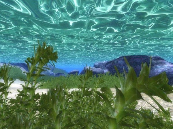 Lush and Gaudy Water RUS