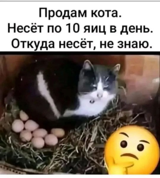 FB IMG 1777225662762