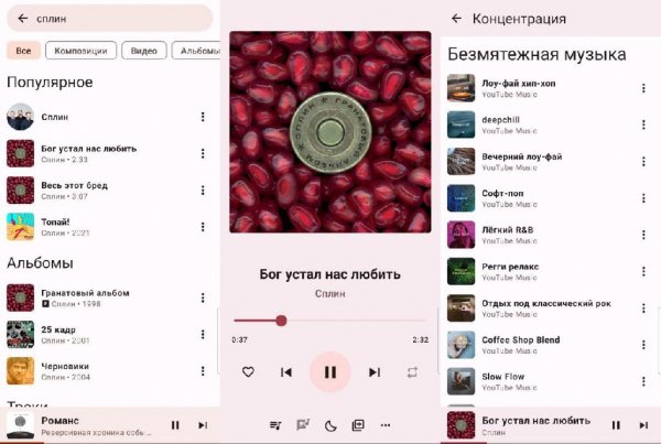 InnerTune-0.5.2