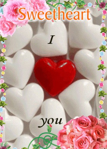 TJX9