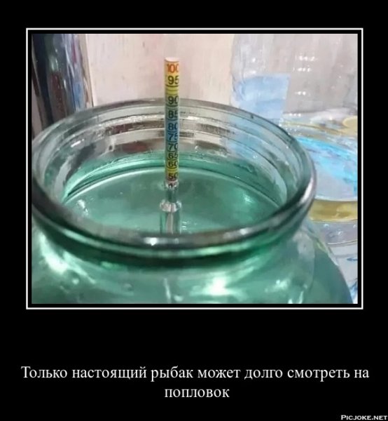 Только настоящий рыбак может долго смотреть на попловок