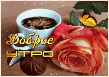 file_99062724