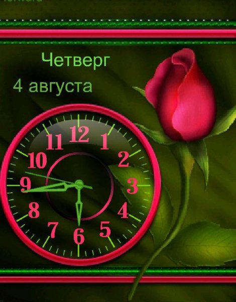 Роза