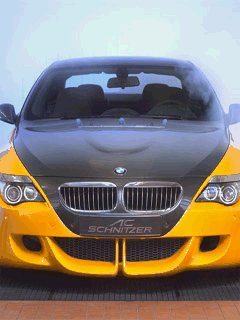file_62058398