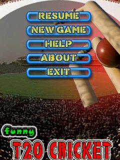 Funny T20 Cricket