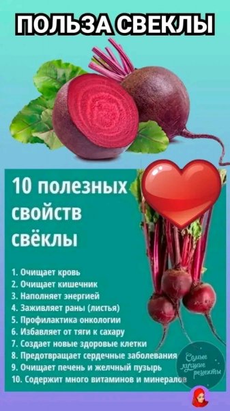 file_98181334