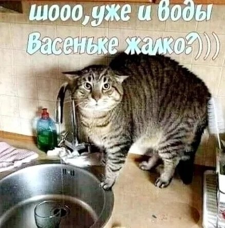 ,