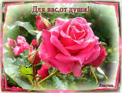 Анимированная открытка для вас от души