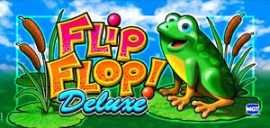 Flip-Flop