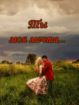 ты моя мечта
