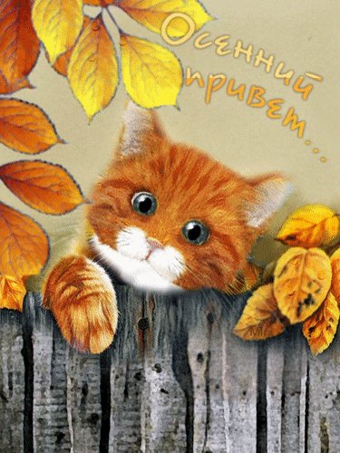 Анимированная открытка осенний привет