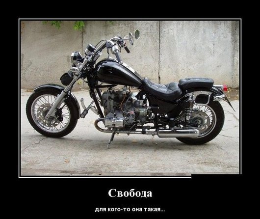 file_78363769