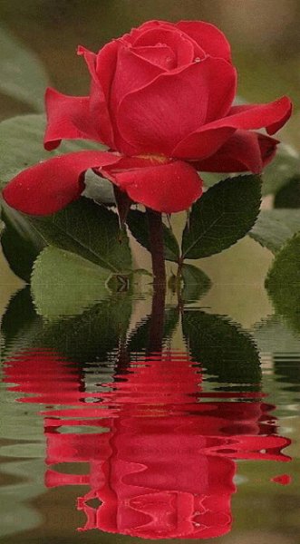 IMG 20190726 084222