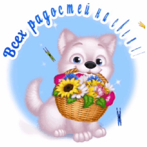 file_82397164
