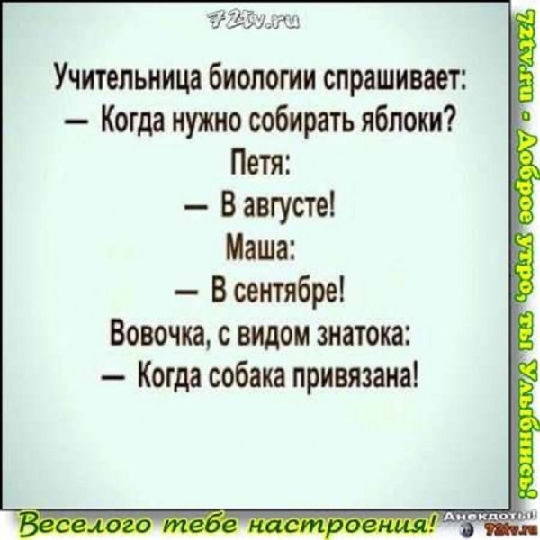 Когда нужно собирать яблоки?