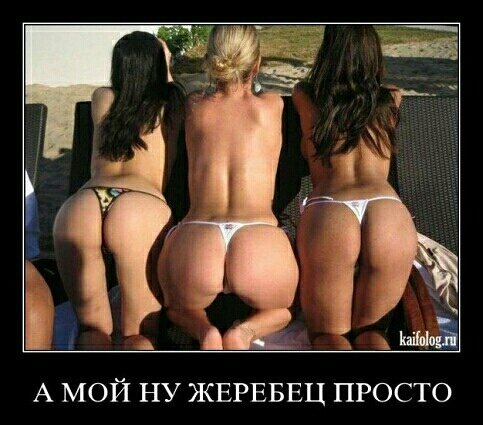file_85022369