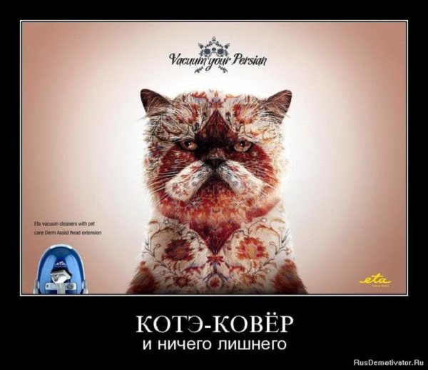 Котэ ковёр