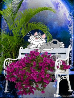 file_57169422