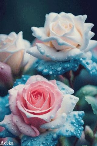 file_95942876